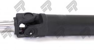 1291-306NPTI