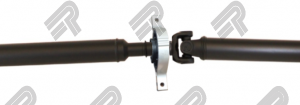 1691-100NPTI