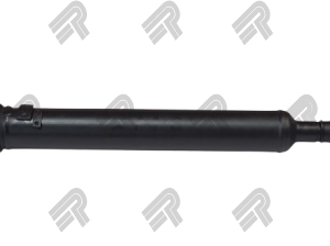 1694-2125NPTI