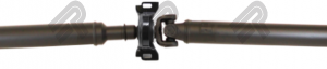 2491-123NPTI