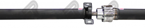2894-300NPTI